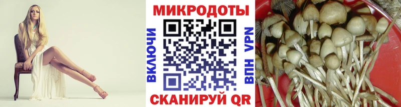 Псилоцибиновые грибы Psilocybe  omg ONION  Ворсма 